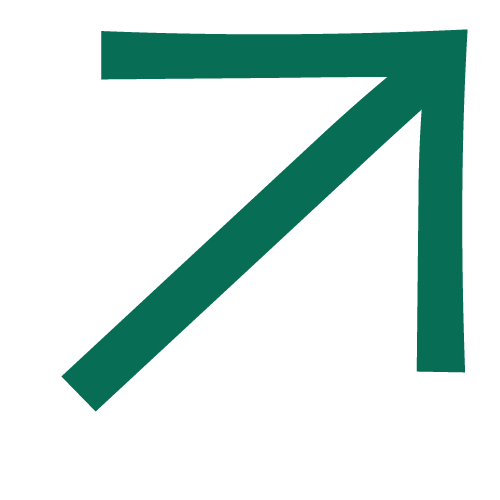button-icon