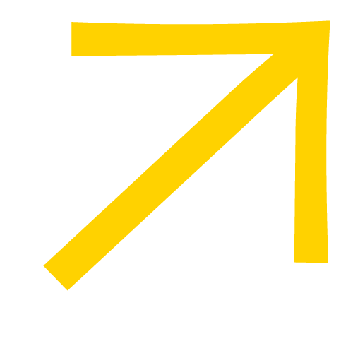 button-icon